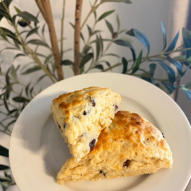 Chocolate chip sourdough scone